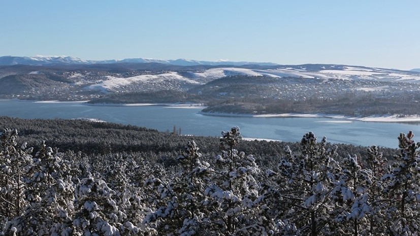 На Урале пропавших в лесу двоих детей нашли живыми