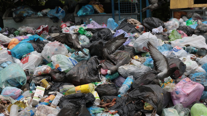 Власти Крыма поручили Феодосии активизировать работу по вывозу мусора