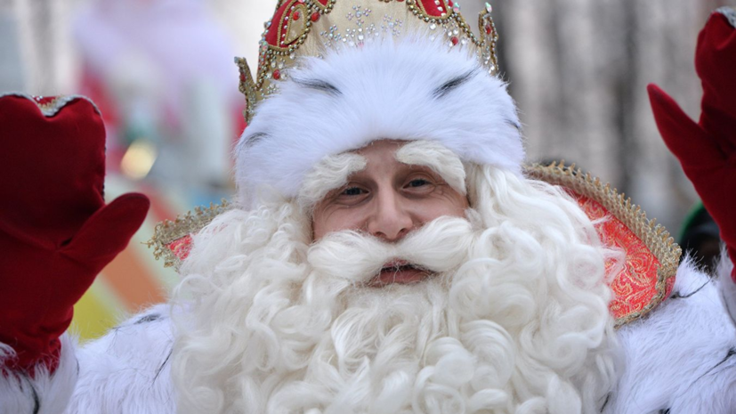 Дед Мороз пожелал Путину уверенности