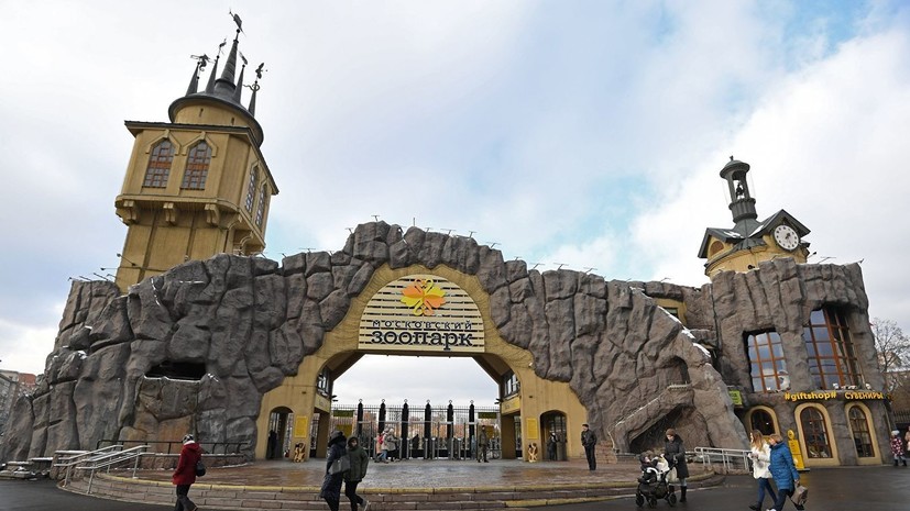 Московский зоопарк сделает подарок посетителям 31 декабря