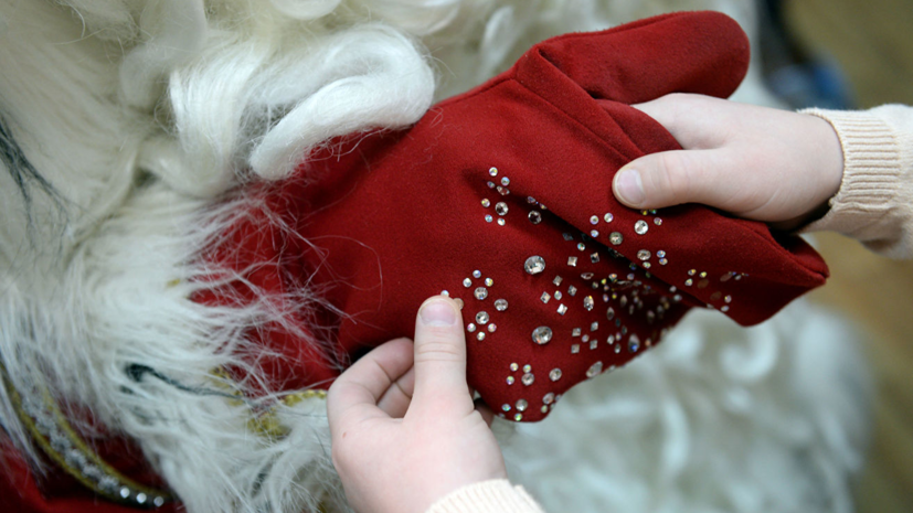 Исполнитель роли Деда Мороза умер после утренника в детсаду Кемеровской области