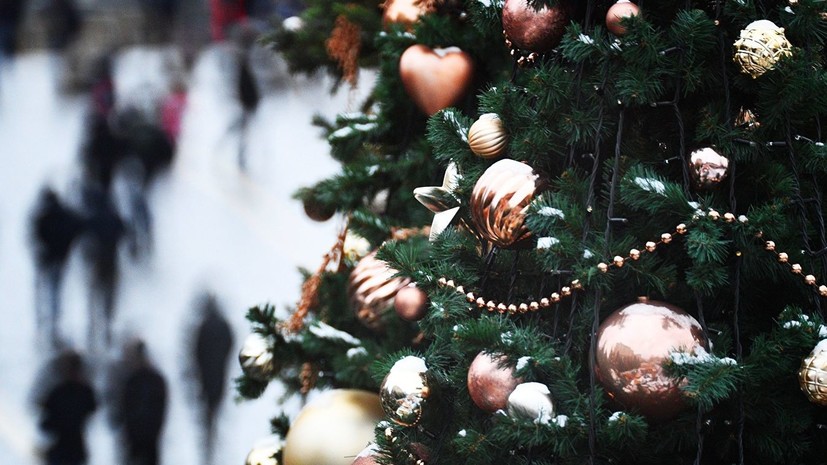 Названы города России с самыми высокими новогодними ёлками
