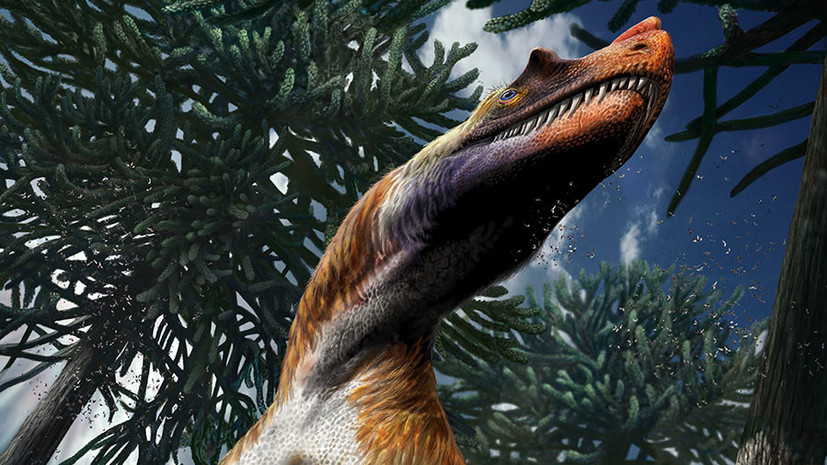 «Боевое оружие» юрского периода: в Италии обнаружен новый род хищных динозавров