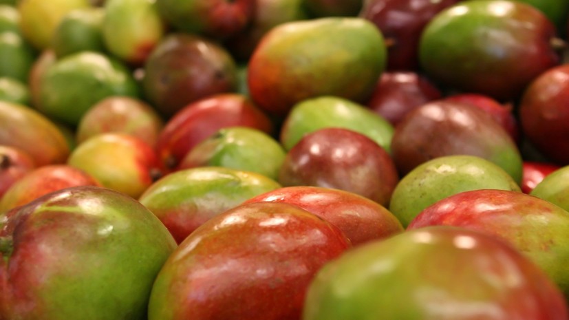 В Россельхознадзоре рассмотрят возможность поставок фруктов из Индонезии в Россию