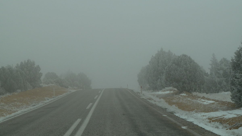 В МЧС предупредили о тумане на дорогах в Оренбургской области 22 декабря