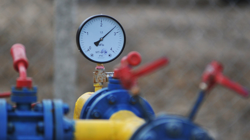 В Госдуме оценили слова бывшего украинского министра о цене на газ