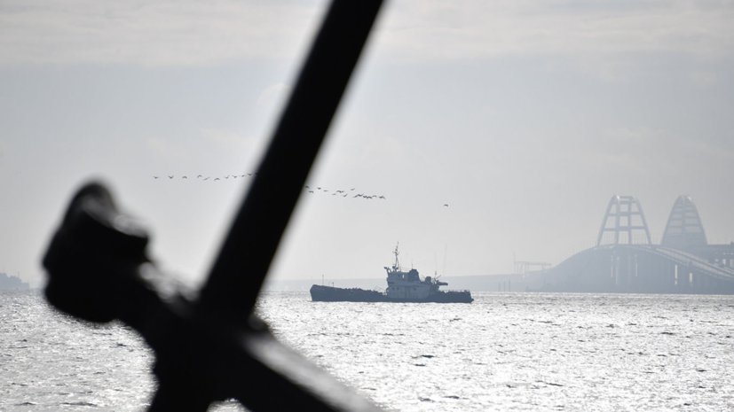 В Совфеде отреагировали на заявление украинского генерала о проходе в Азовское море