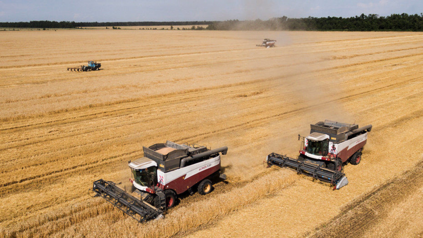 На Украине оценили потери от введения Россией сельскохозяйственного эмбарго