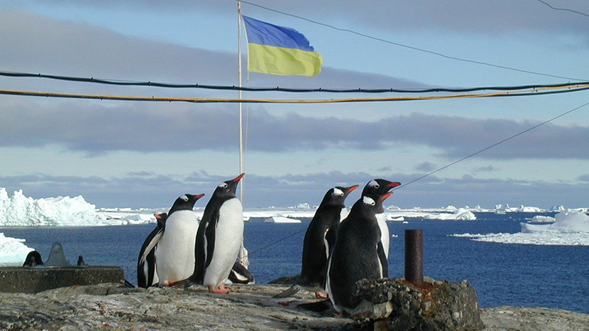 «Очевидная самодеятельность»: зачем Киев заявил о планах освоения Антарктики
