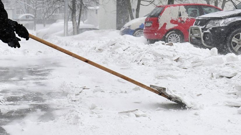 В Саратове уволили чиновницу после отправки учителей на уборку снега