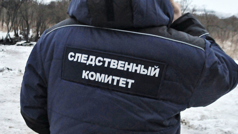 В СК сообщили о продвижении в деле об убийстве Немцова