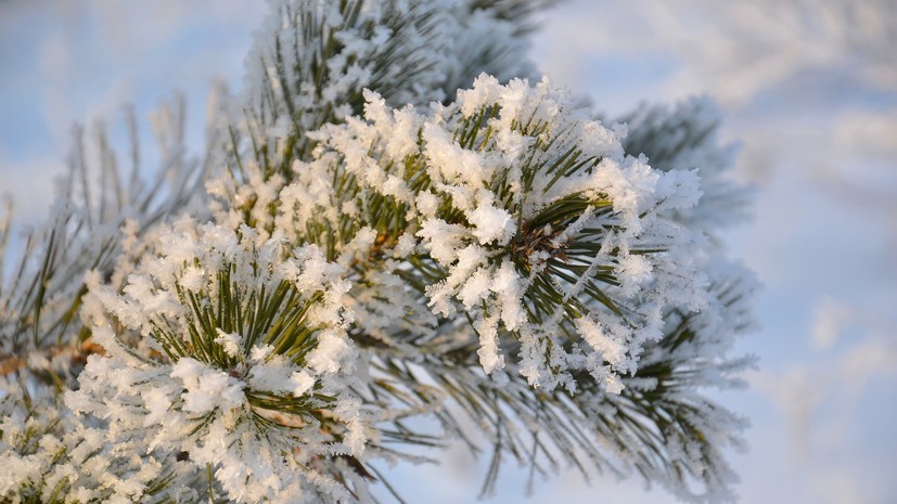 В Свердловской области ввели особый режим из-за сильных морозов