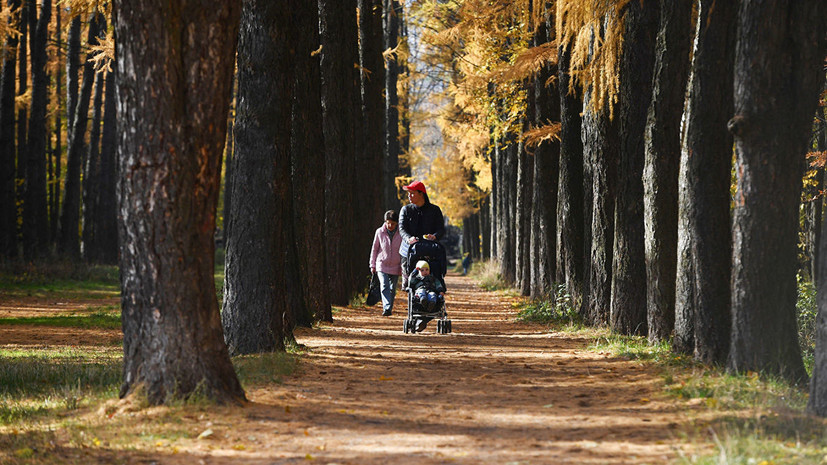 В Подмосковье рассказали о создании и реконструкции парков в 2019 году