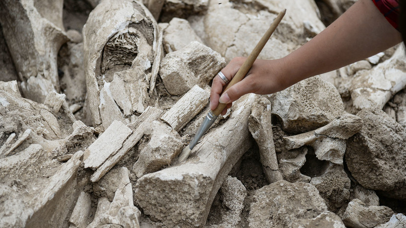 Российским археологам разрешат работать в Саудовской Аравии