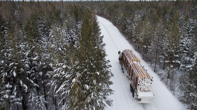 Матвиенко предложила ввести временное эмбарго на вывоз леса из России
