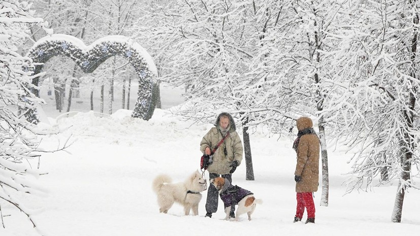 Синоптики рассказали о рекордном снегопаде в Москве