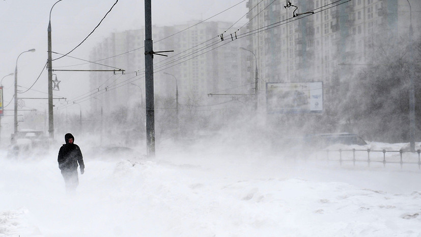 Жителей Москвы предупредили об усилении ветра до 18 м/с в воскресенье