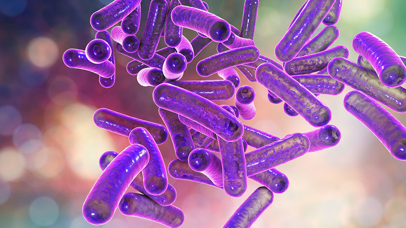 Твёрдость оболочки: учёные выяснили, как бактерии становятся устойчивыми к антибиотикам
