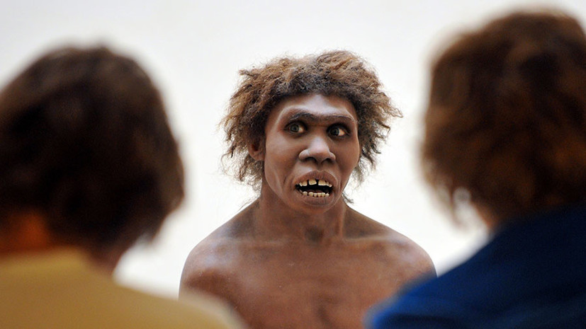 Доисторические хищники: учёным стал известен рацион неандертальцев