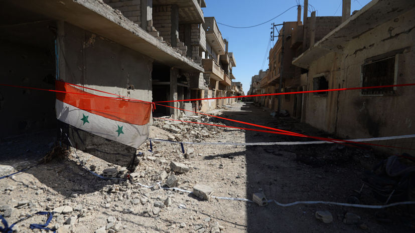 Советник Асада рассказала о роли западных СМИ в сирийском конфликте
