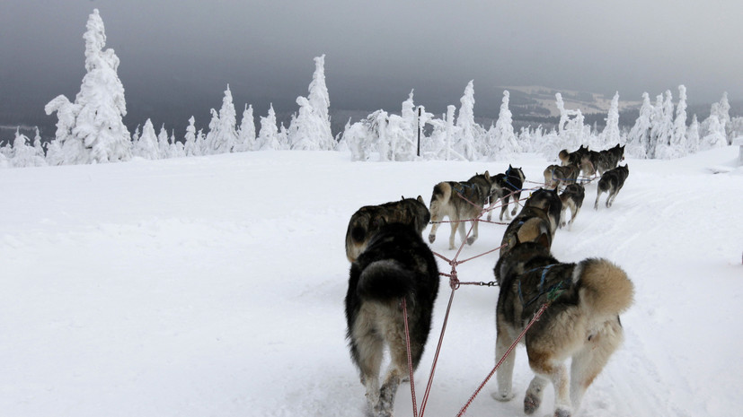 Обсидиановый след: древние жители сибирской Арктики ездили на «ярмарки» за сотни километров