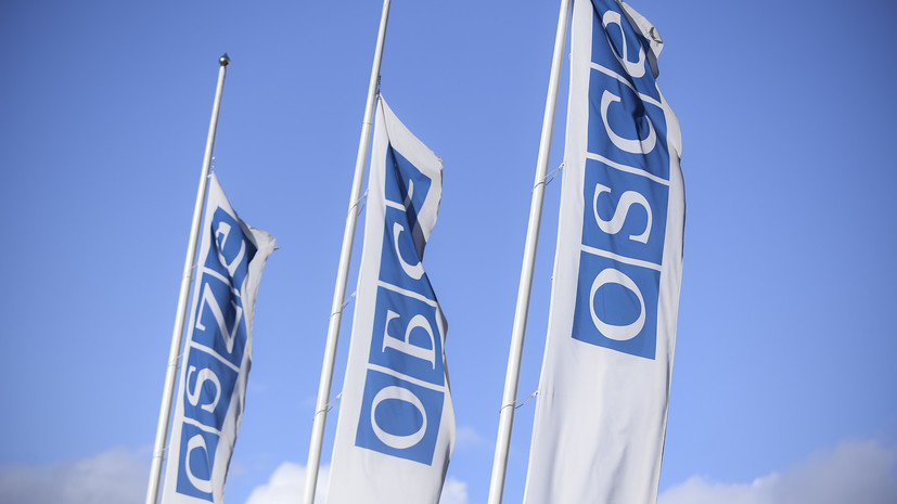 Россия блокировала на ПА ОБСЕ рекомендацию о недопуске наблюдателей