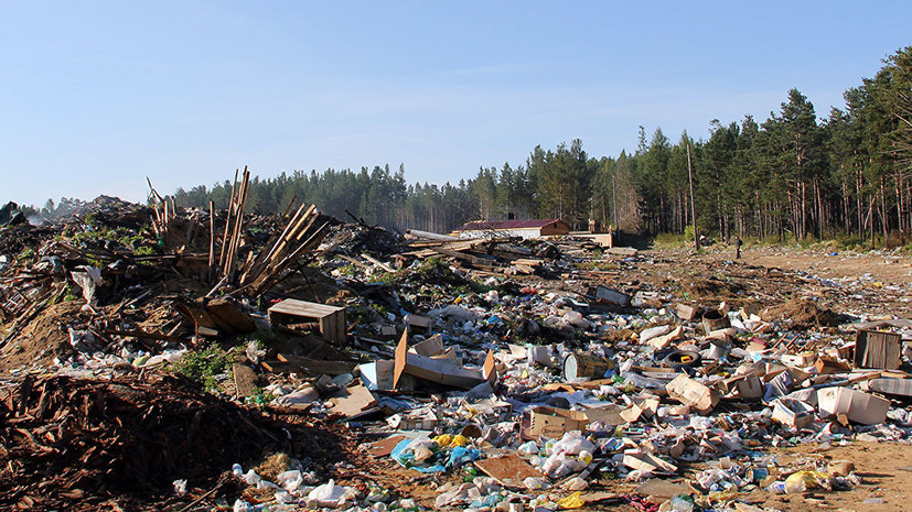 В Подмосковье рассказали о первом этапе «мусорной реформы» в регионе