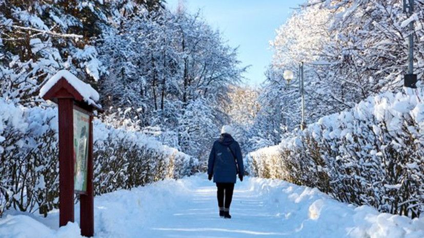 Площадь парков в Даниловском районе Москвы выросла в три раза