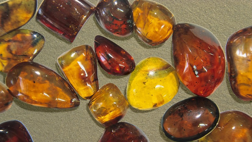 Таможенники изъяли контрабандный янтарь на 2,5 млн рублей в поезде Калининград — Москва