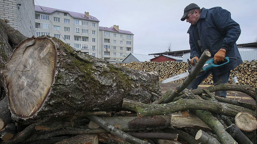 «В позапрошлый век»: в Раде заявили об отказе украинцев от газа и переходе на дрова