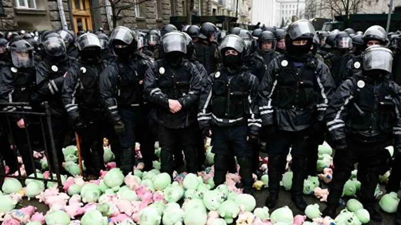 Националисты в Киеве забросали полицейских игрушечными свиньями