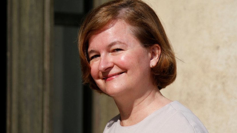 Сотрудница МИД Франции назвала Брекситом кота, который не может определиться