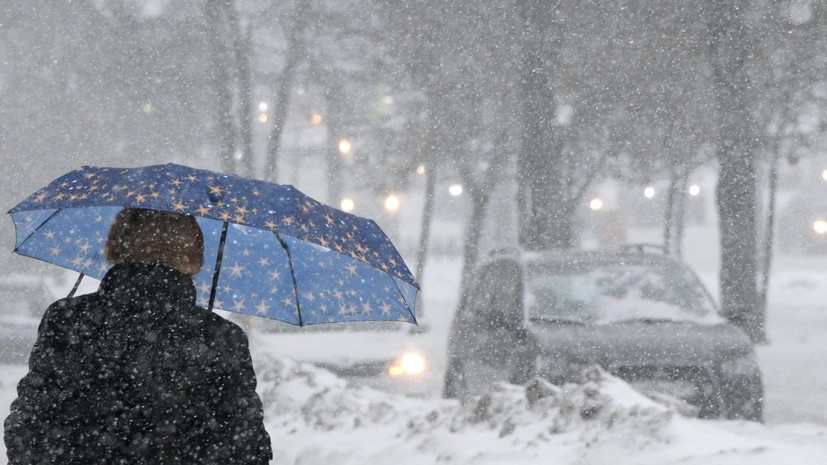 В МЧС предупредили о мокром снеге и ветре в Москве