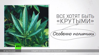 лига легализация конопли