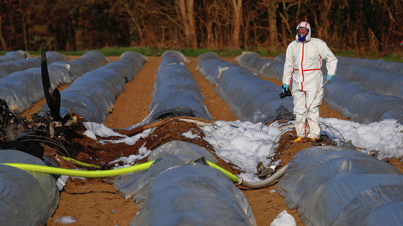 СМИ назвали возможную причину крушения самолёта совладелицы S7