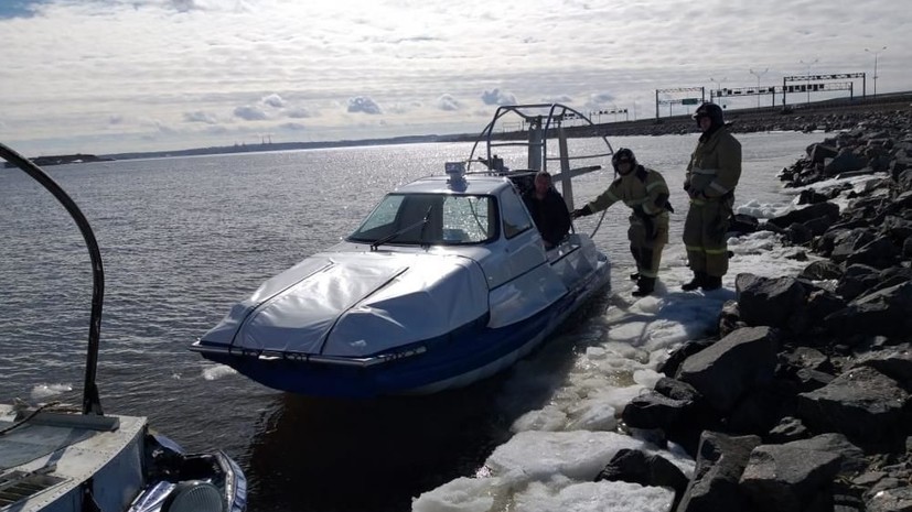На берегу Финского залива спасли белька