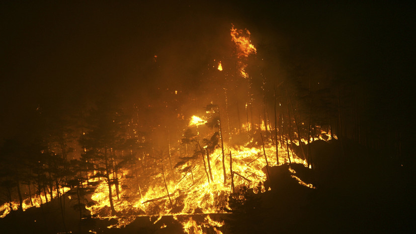В Южной Корее ввели режим ЧС из-за пожаров в провинции Кангвондо 