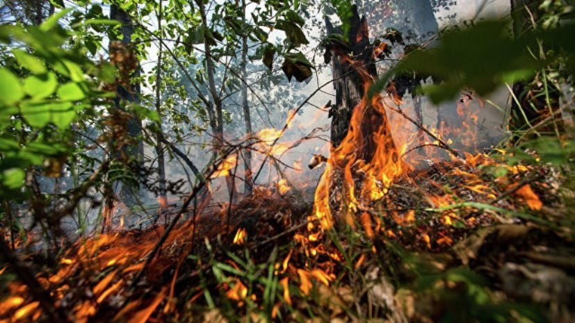 В 45 поселениях Новгородской области объявили пожароопасный сезон