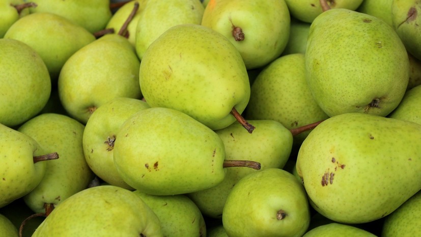 Россельхознадзор ограничит поставки яблок и груш из Белоруссии