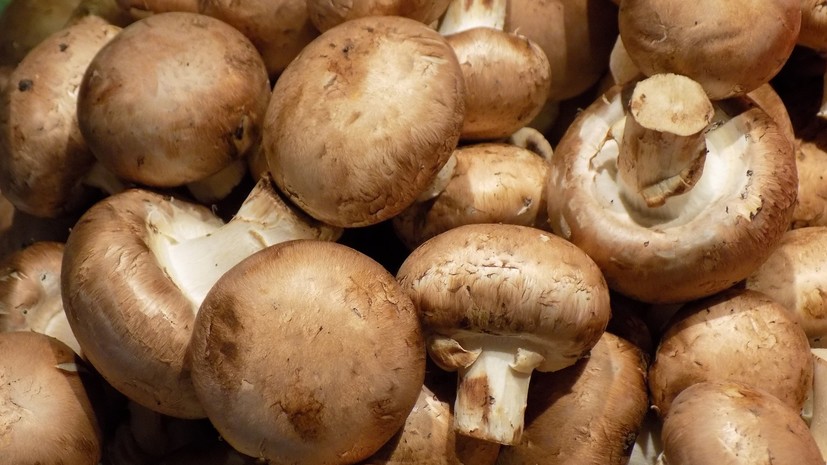 В Екатеринбурге уничтожили 1,5 тонны подкарантинной продукции неустановленного происхождения