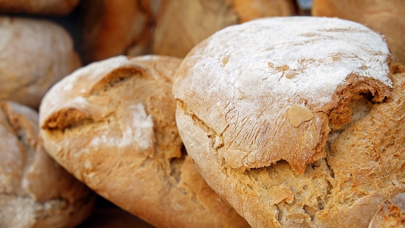 В Удмуртии рассказали о разработке законопроекта «О хлебопечении»
