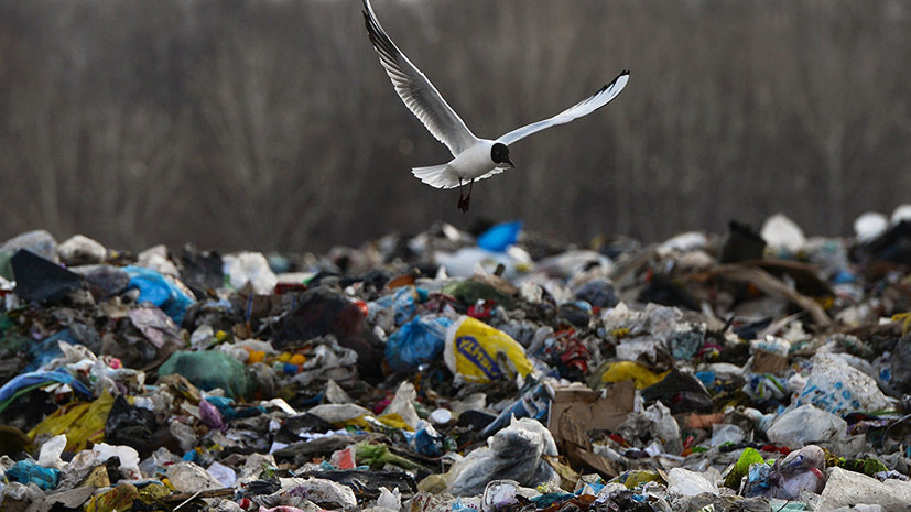 В Росприроднадзоре заявили о ликвидации 70% незаконных свалок