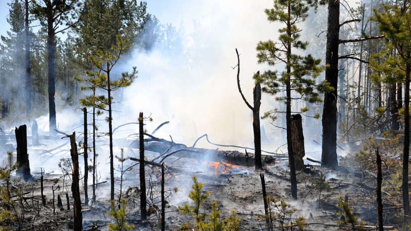 СК проводит проверку по факту пожаров в населённых пунктах Забайкалья