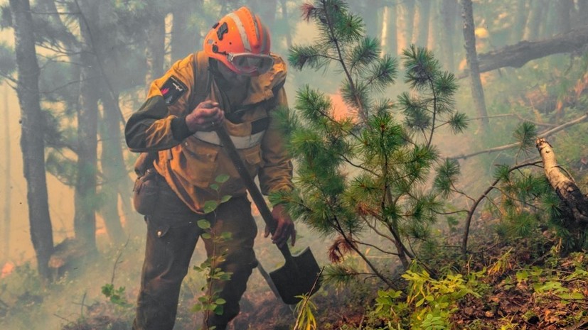 В Архангельской области объявят пожароопасный сезон с 6 мая