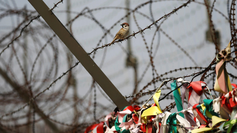 Жители Южной Кореи образовали живую цепь вдоль всей границы с КНДР