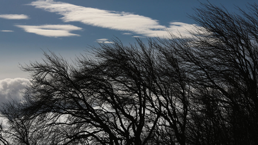 В Башкирии сильный ветер сорвал крыши с 12 домов и больницы