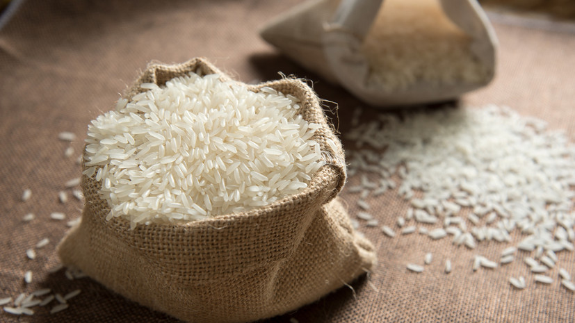 Азиатская диета: японские учёные назвали рис помощником в борьбе с ожирением