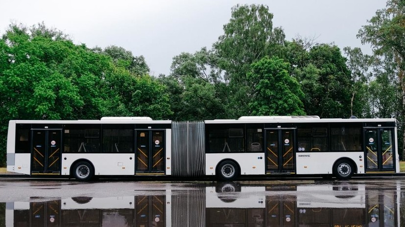 В Петербурге запустят ночные автобусы с 8 по 12 мая