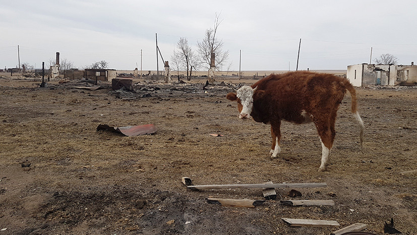 «По документам этих домов вообще не было»: что ждёт потерявших всё в степных пожарах в Забайкалье