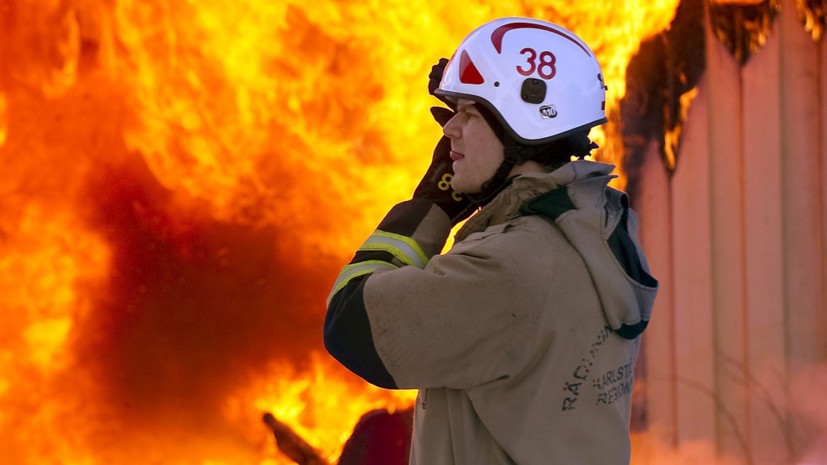 Около 100 тысяч кур погибли из-за пожара в Швеции